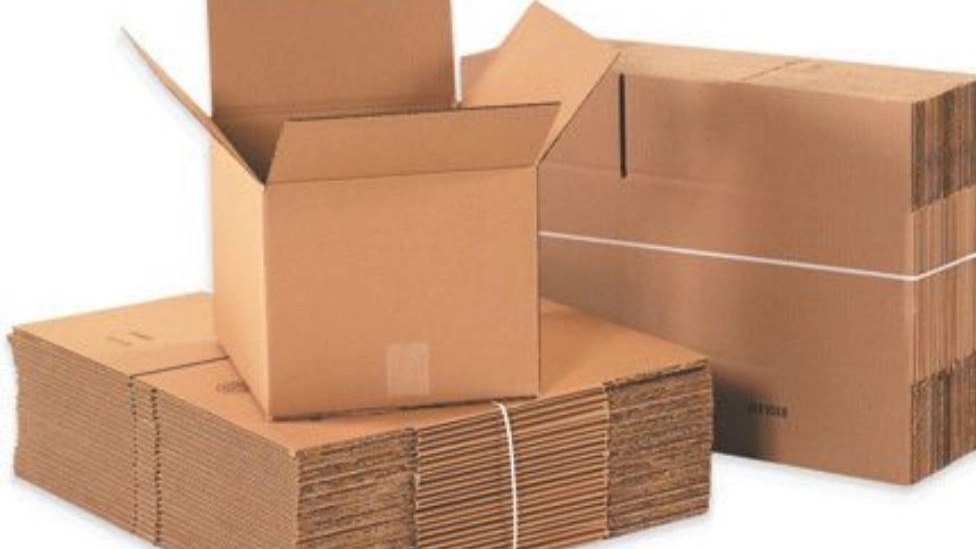 خطوات إنتاج الكرتون