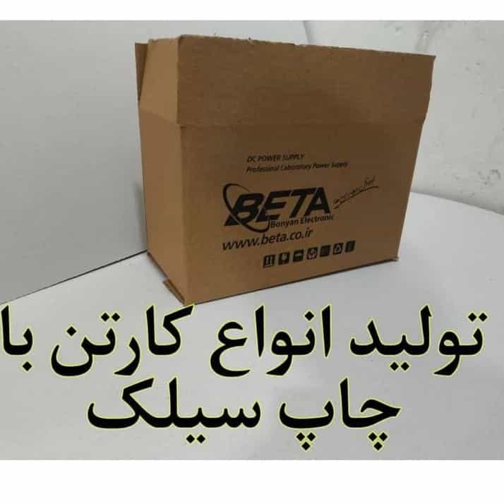 1741757343299.webp