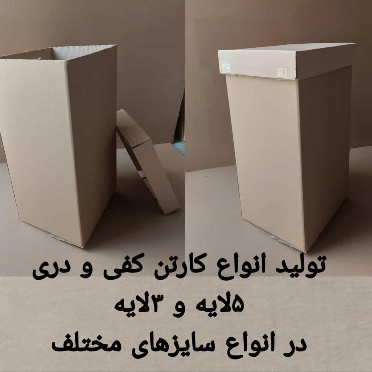 1751178565766.webp