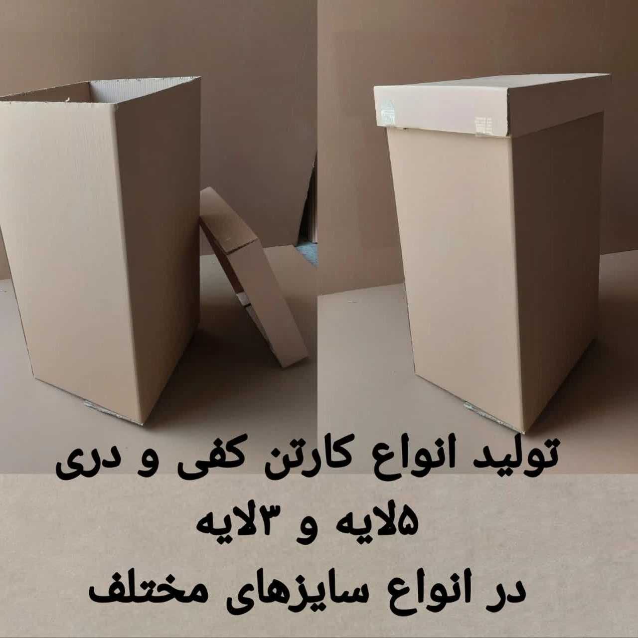 1751178565766.webp